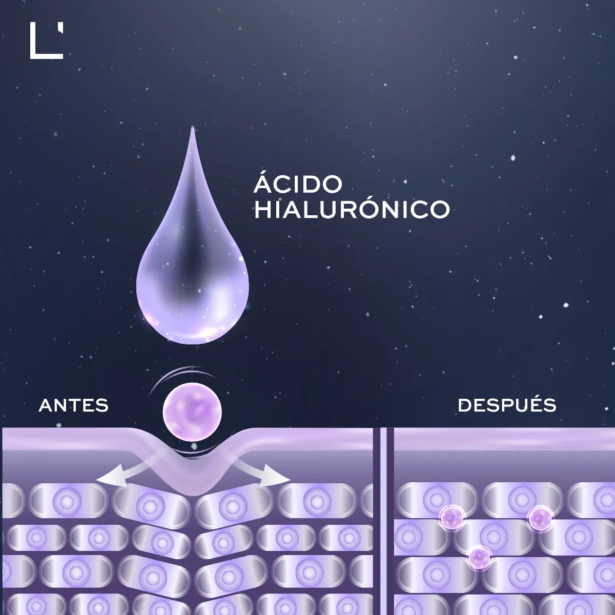 Nocturne Ojos Serum Reductor Con Acido Hialuronico Lbel