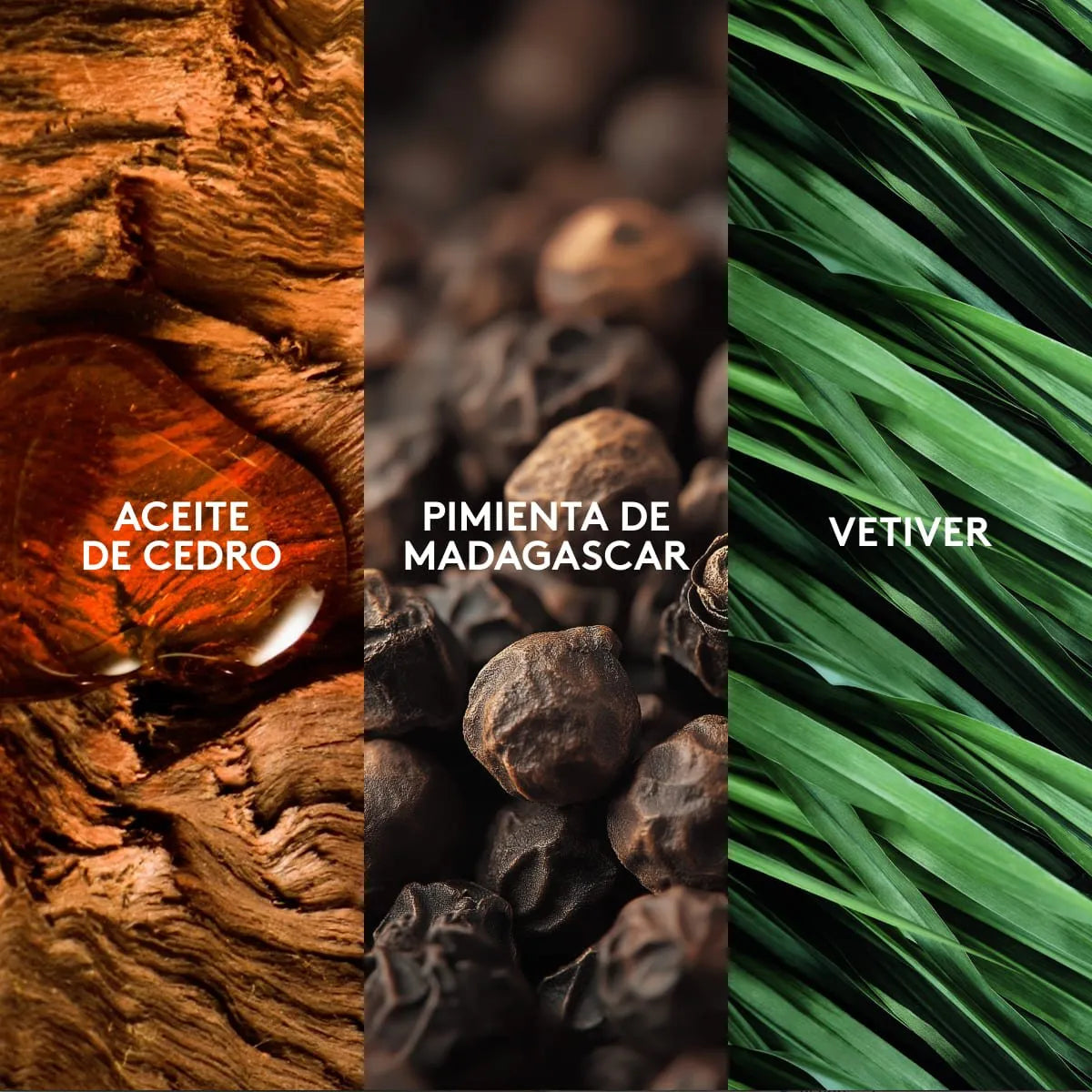 Magnat Elite Perfume De 90ml Para Hombre De Esika